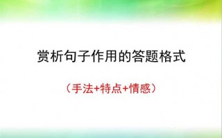 句子赏析题答题模板的简单介绍