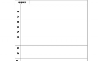 审计工作记录怎么写-审计工作记录模板