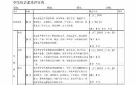 大学学生综合素质评价怎么写-大学综合素质评价填写模板