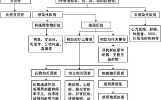 肺炎的治疗方案模板_肺炎治疗流程图