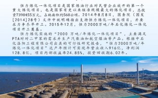 石化安装公司简介模板（石化安装公司简介模板下载）