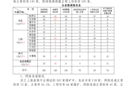 网络运行情况咋写-网络运行情况模板