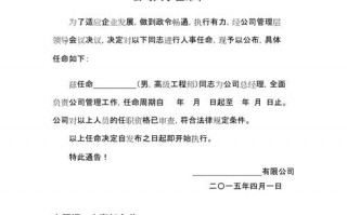 公司任命书模板6_公司任命书模板6000字