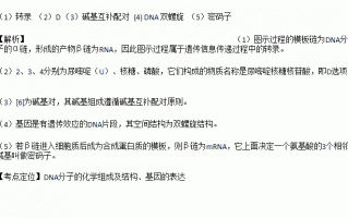 模板合成法的优点 需要模板合成物质