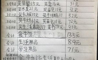 小学生寒假零用钱使用账本模板_小学生零花钱表格式报告