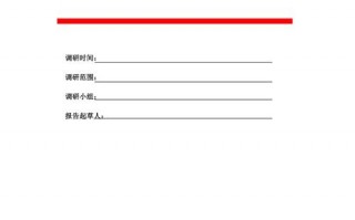 软件调研内容-软件系统调研报告模板