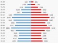 人口结构报告 人口结构分析模板