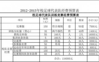 足球联赛预算表-足球队预算模板