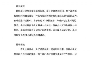  项目研究心得体会模板「项目研究总结报告4000字」