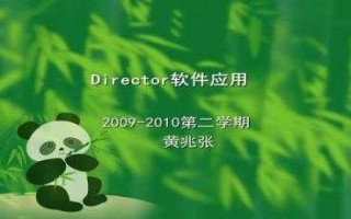 director模板_directorcho