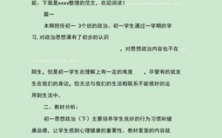  初中政治学情通用模板「初中政治学期教学计划」