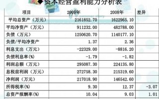  盈利前景分析模板「盈利前景分析模板范文」