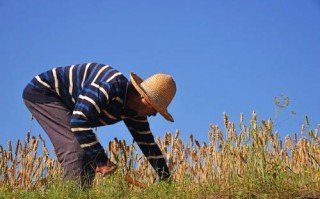  劳动活动图片模板「劳动活动照片」