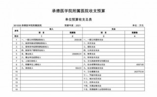 医院收支预算编制模板_医院收支预算编制模板图片