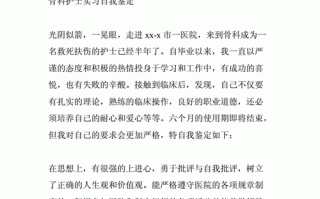 护士见习鉴定表模板的简单介绍