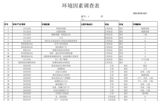 原因分析调查表模板