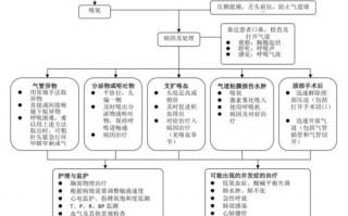  窒息急救演练模板「窒息应急处理演练流程」