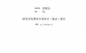 研发费用审计报告模板_研发费用审计报告模板范文