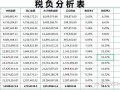 企业税负分析报告模板_企业税负调查分析