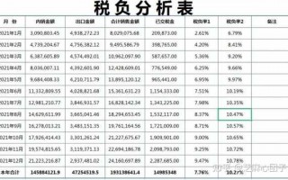 企业税负分析报告模板_企业税负调查分析