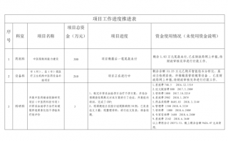 关于项目推进的模板（项目推进怎么表述）