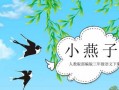 燕子教学模板,燕子教学模板ppt 