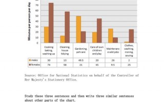 雅思柱状图表作文模板,雅思柱状图小作文模板 