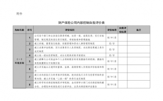 内控自我测试报告