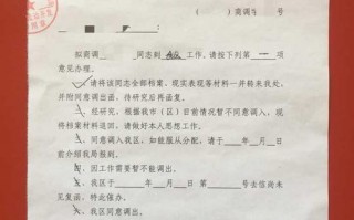 福建省人力资源网证书查询-福建人事关系证明模板