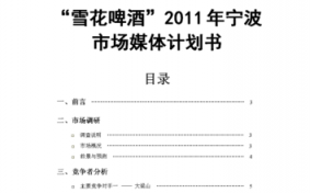  啤酒市场规划方案模板「啤酒市场规划方案模板下载」