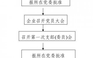  成立基层党组织模板「党的基层组织成立的工作流程」