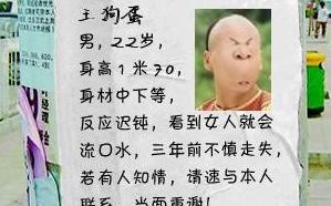  搞笑寻人启事模板「搞笑的寻人启事简短5篇」