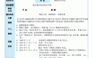 网络工程师的简历模板范文