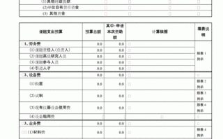 资助项目预算模板_项目资助率怎么算