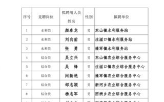 单位公示情况表 单位工作公示模板