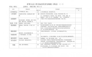 护理kpi指标-护理人员kpi模板