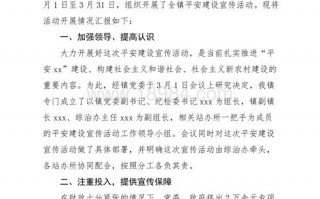 宣传报告模板的文档（宣传报告是什么意思）