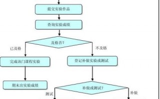 实验过程模板_实验过程和实验步骤是什么