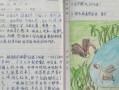 小学阅读笔记图画模板