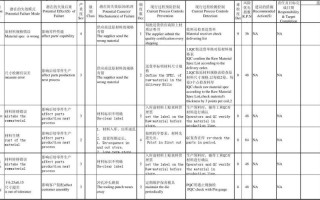 pfmea标准模板（pfmea报告中应包括哪些内容）
