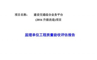 软件监理报告模板_软件项目 监理