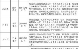 党支部分工文件模板的简单介绍