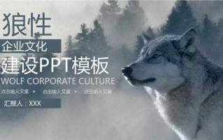 免费ppt模板狼,ppt免费模板官网 