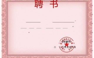 聘书模板word（聘书模板word模板）