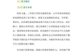 推销实习报告模板_推销实践报告