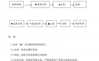 包装工艺流程模板_包装工艺流程模板怎么写