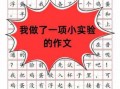 我做成了什么作文ppt模板