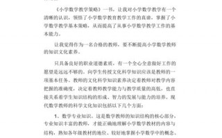 教学小策略案例模板（教学小策略案例模板图片）