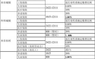 北京社会保险模板,北京社保详情 