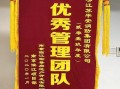  公司优秀团队锦旗模板「年度优秀团队锦旗怎么写」